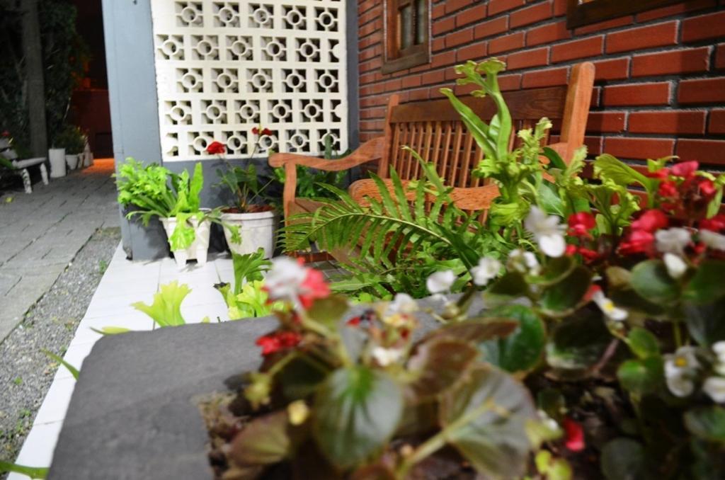 ホテルResidencial Flamingo ボンビーニャス エクステリア 写真